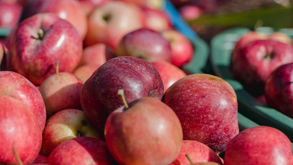 Voivatko koirat syödä omenafileitä?